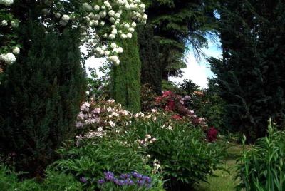 Garten im Mai